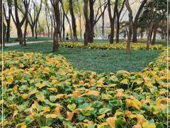 -玲珑塔公园