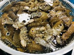 -王四营海鲜市场
