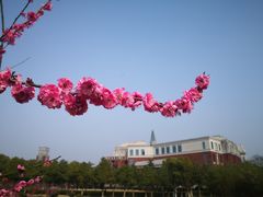 -华东政法大学(松江校区)