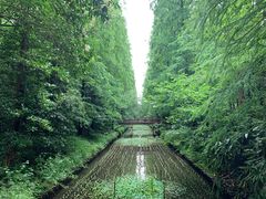 -东平国家森林公园