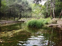 -玉渡山自然风景区