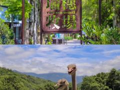 -瑞穗牧场