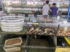 海鲜池-岛中岛·海鲜大排档·万宁老字号(东澳店)