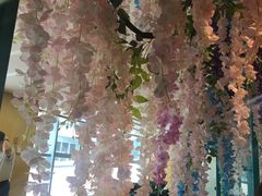 -青瓷火锅料理(西单大悦城店)