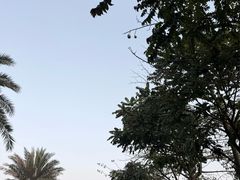 -白石龙音乐公园
