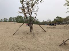 -东郊湿地公园