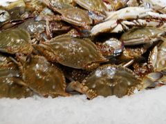 -加餐海鲜自助(集美银泰百货店)