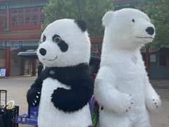 -南戴河国际娱乐中心