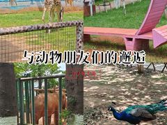 -昆明动物园