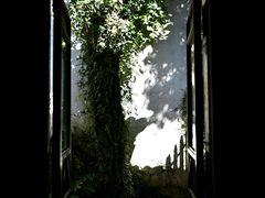-乌镇东栅景区