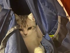 -热高乐园巴厘岛水世界