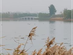 -南海子公园