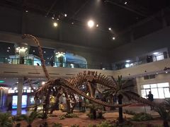 -自贡恐龙博物馆