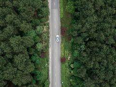 -铁山坪森林公园
