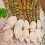 超爱吃的一家自助火锅,为了和朋友好好的干饭