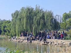 -天津水上公园