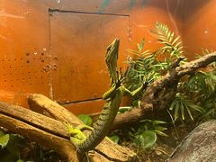 -上海昆虫博物馆