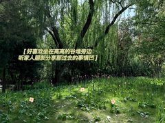 -迎泽公园