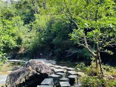 -广州白江湖森林公园