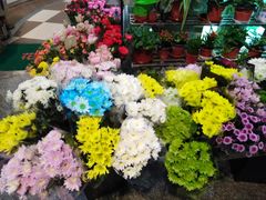 -花草间花行(法华镇路店)