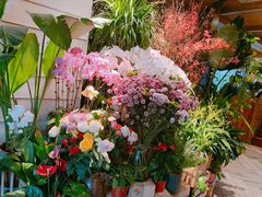 -春暖花开(西溪店)