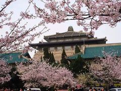 -武汉大学-樱园