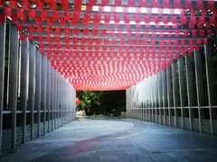 -深圳国际园林花卉博览园