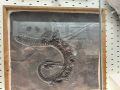 -浙江自然博物院(杭州馆)