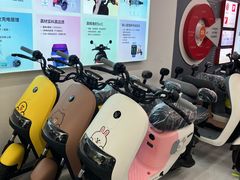 -九号电动车(安定门内大街店)