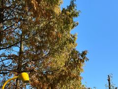 -宁波儿童公园(鄞州区)