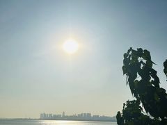 -深圳湾公园(南山区)