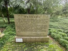 -上海方塔园