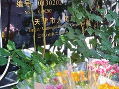 -天津五大道文化旅游区