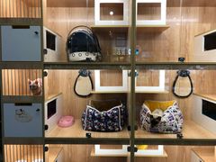 -小呆的宠物店·宠物售卖·宠物寄养(城西店)