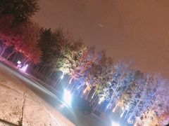 -枫花园汽车电影院(朝阳公园店)