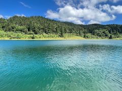 -武陵山森林公园