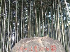 -上海醉白池公园