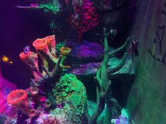 -沈阳海洋探索中心