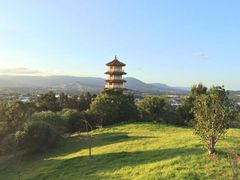 -悉尼歌剧院