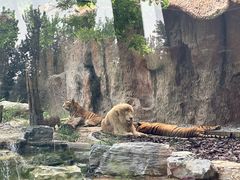 -北京野生动物园