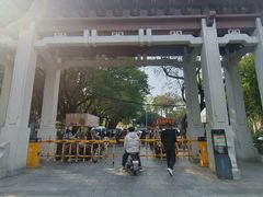 -王借岗森林公园