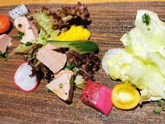 -蝉一日本料理(高新区店)