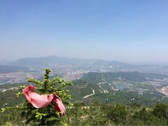 iphone_upload_pic-定都峰