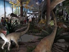 -湖南省地质博物馆