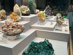 -湖南省地质博物馆