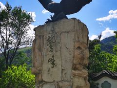 -大觉寺-停车场