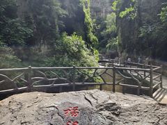 -茅兰沟国家森林公园