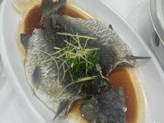 -寻味顺德·南记酒家·传统顺德菜·鱼生(广源路店)