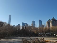 -团结湖公园