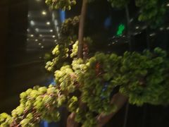 -新盈光·心院(嘉恒广场店)